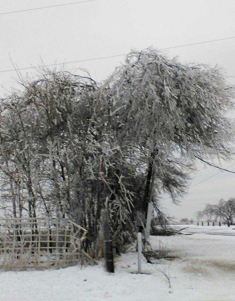 El Reno, OK: Beauty in the Midst of Destruction – C.H. Armstrong Books
