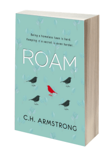 Roam 3D Book Cover